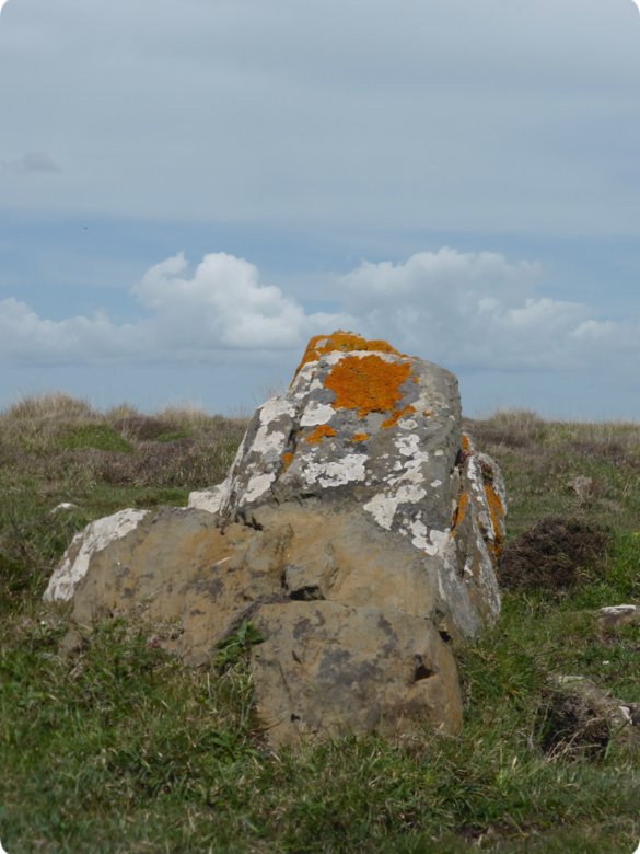 190.jpg
